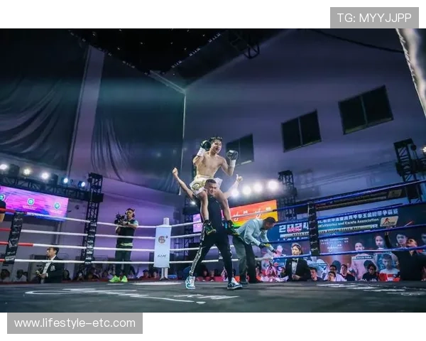 letou乐投地址最新入口，安全稳定的登录指南推荐