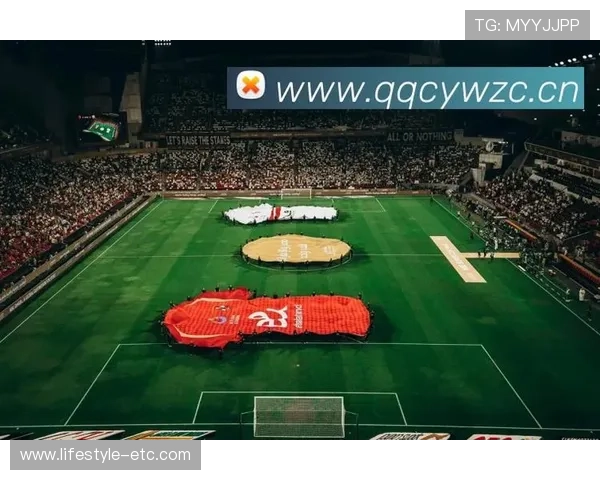 tc体育网移动版手机为体育迷打造的专属掌上体育平台体验