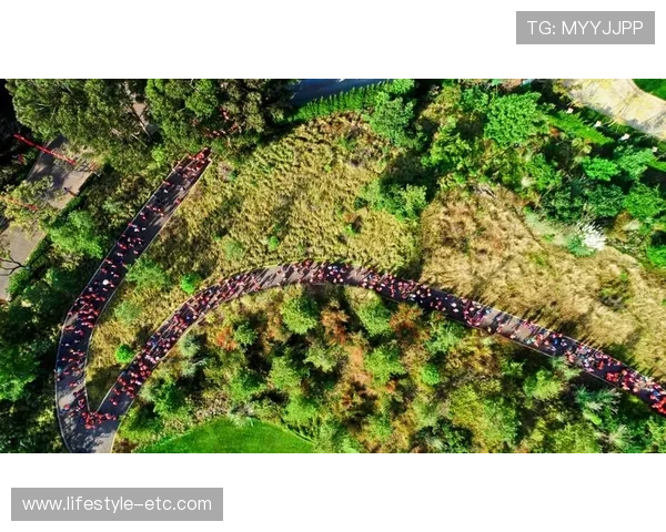 乐健体育app：多样化运动项目覆盖全面健身需求